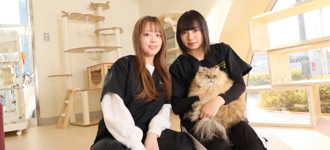 キャットグルーマーコース