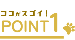 ここがスゴイ! POINT01