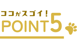 ここがスゴイ! POINT05