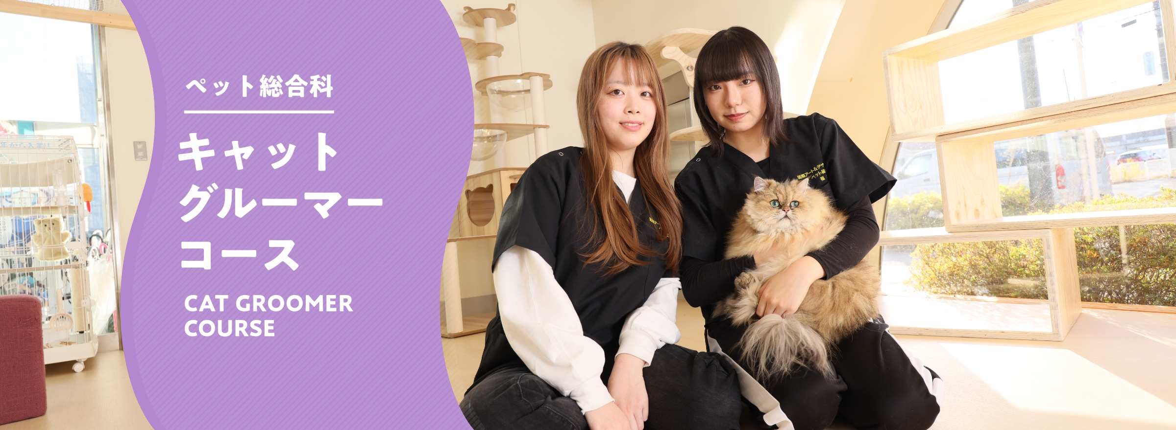 ペット総合科 キャットグルーマーコース